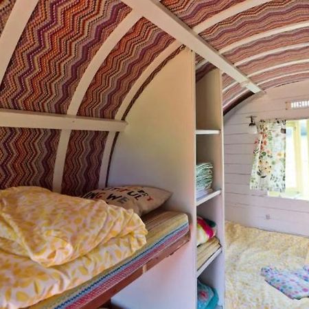 Clissmann Horse Caravans Glamping Rathdrum Eksteriør billede