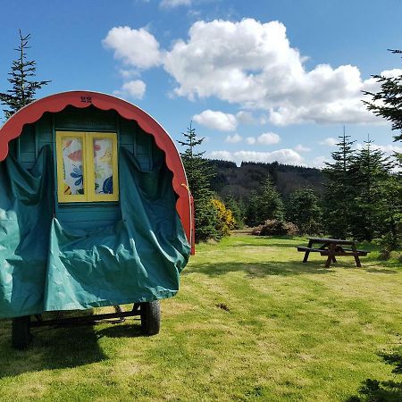 Clissmann Horse Caravans Glamping Rathdrum Eksteriør billede