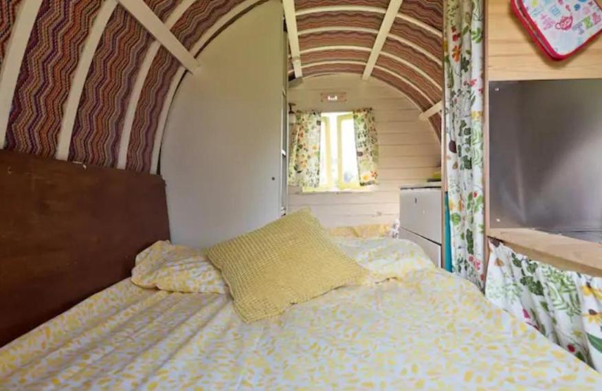 Clissmann Horse Caravans Glamping Rathdrum Eksteriør billede