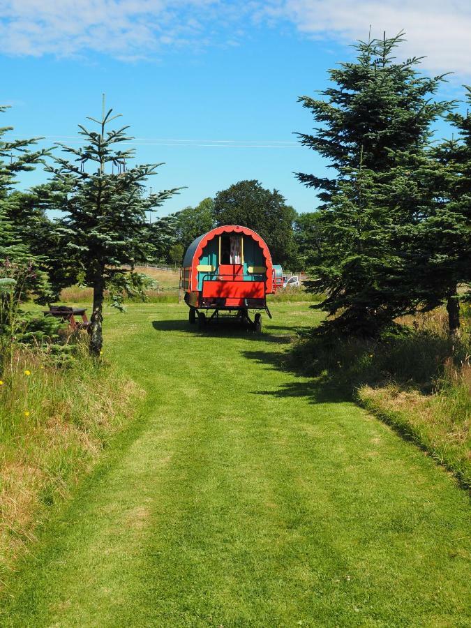 Clissmann Horse Caravans Glamping Rathdrum Eksteriør billede