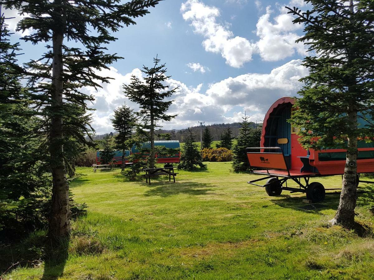 Clissmann Horse Caravans Glamping Rathdrum Eksteriør billede