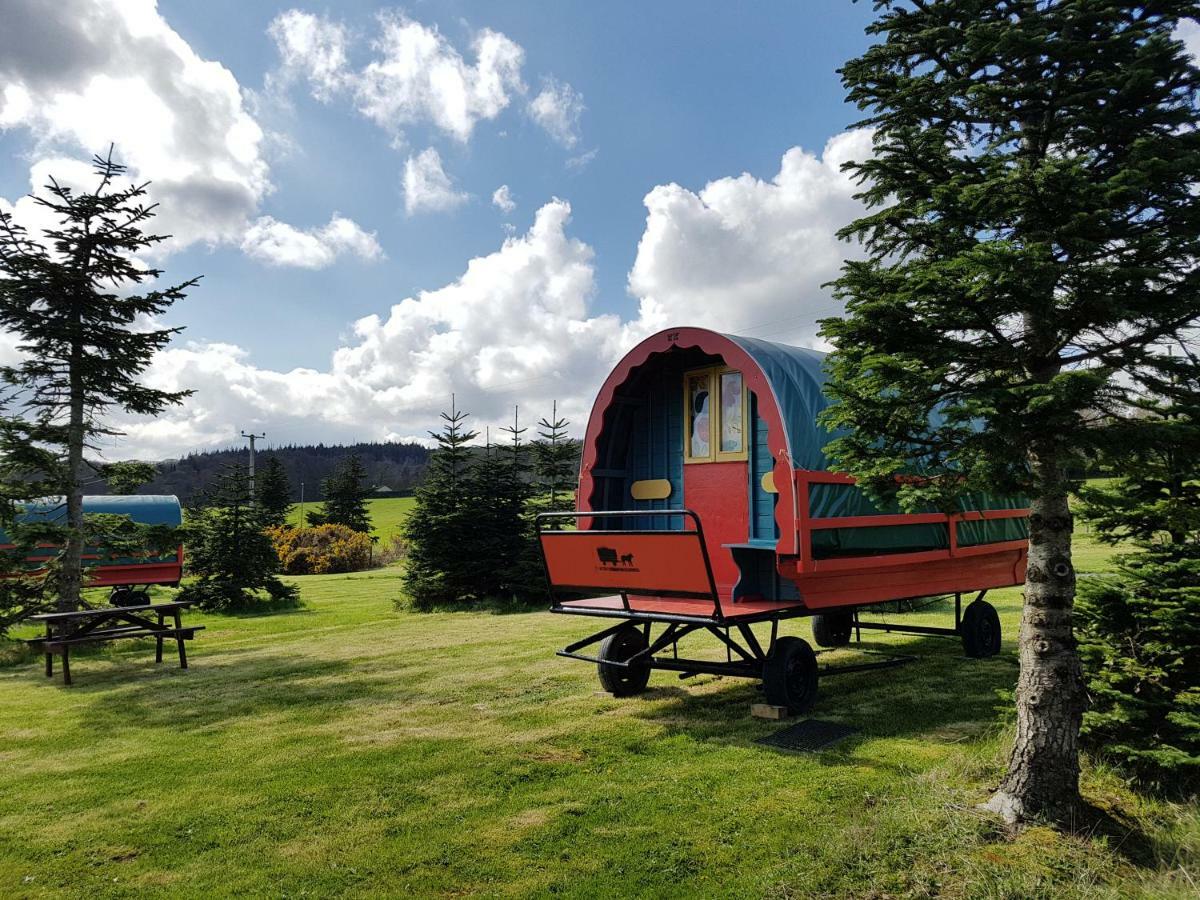 Clissmann Horse Caravans Glamping Rathdrum Eksteriør billede