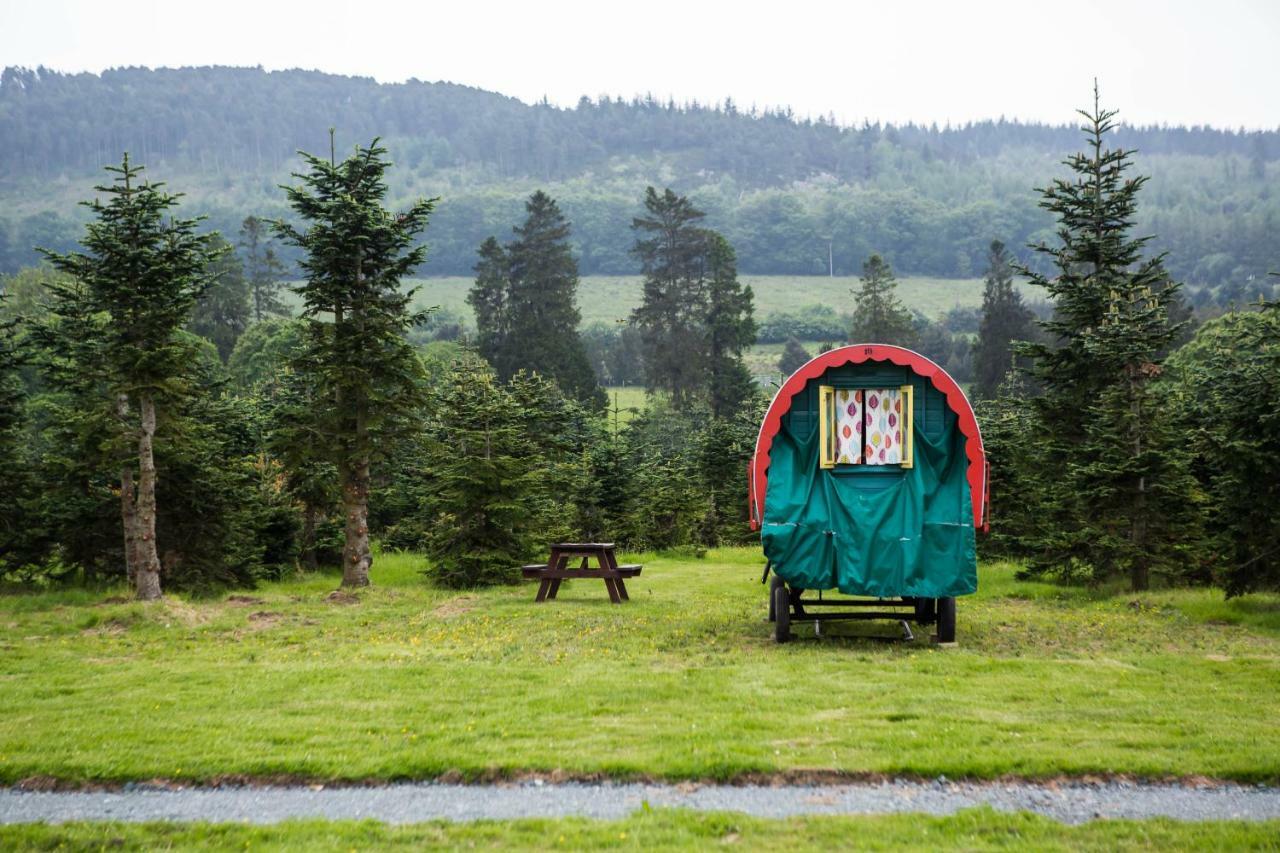 Clissmann Horse Caravans Glamping Rathdrum Eksteriør billede