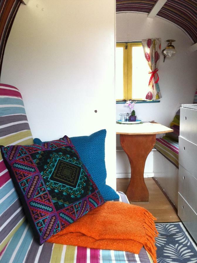 Clissmann Horse Caravans Glamping Rathdrum Eksteriør billede